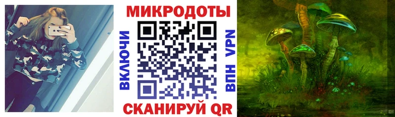 Псилоцибиновые грибы ЛСД  цены наркотик  Сунжа 